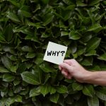 VEO vs SEO vs AEO vs GEO: What’s Different